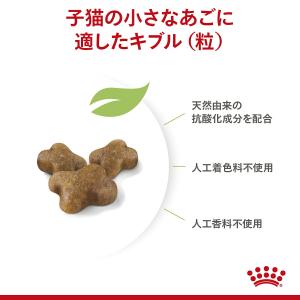 ロイヤルカナン 子猫 キトン 成長後期の子猫用...の詳細画像3