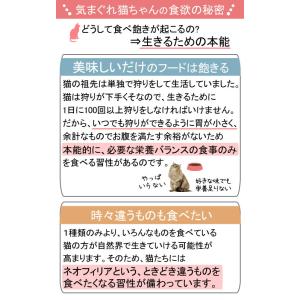 ロイヤルカナン 猫 エクシジェント トライアル...の詳細画像1