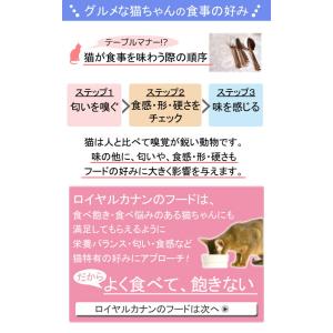 ロイヤルカナン 猫 エクシジェント トライアル...の詳細画像2