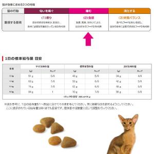 ロイヤルカナン 猫 セイバーエクシジェント 成...の詳細画像2