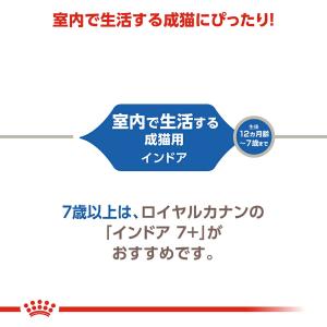 ロイヤルカナン 猫 インドア 室内で生活する成...の詳細画像5