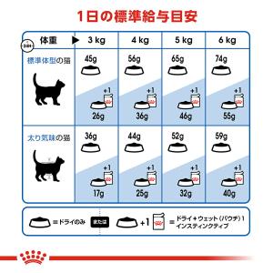ロイヤルカナン 猫 インドア 室内で生活する成...の詳細画像4