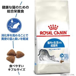 ロイヤルカナン 猫 インドア 室内で生活する成...の詳細画像1