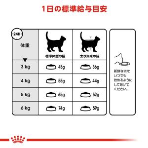 ロイヤルカナン 猫 ヘアボール ケア 毛玉が気...の詳細画像4