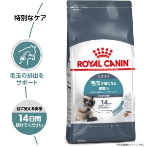 ロイヤルカナン 猫 ヘアボール ケア 毛玉が気...の詳細画像1