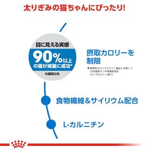 ロイヤルカナン 猫 ライト ウェイト ケア 減...の詳細画像2