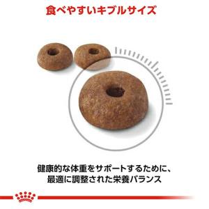 ロイヤルカナン 猫 ライト ウェイト ケア 減...の詳細画像3