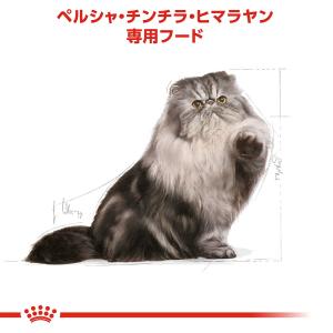 ロイヤルカナン 猫 ペルシャ・チンチラ・ヒマラ...の詳細画像1