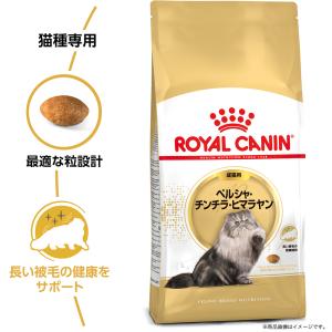 ロイヤルカナン 猫 ペルシャ・チンチラ・ヒマラ...の詳細画像3