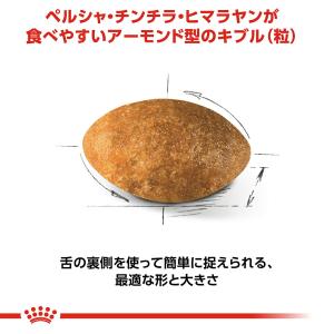ロイヤルカナン 猫 ペルシャ・チンチラ・ヒマラ...の詳細画像4