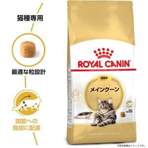ロイヤルカナン 猫 メインクーン 成猫用 生後...の詳細画像3