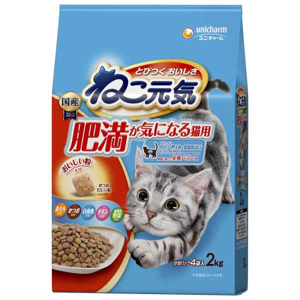 キャットフード　ねこ元気　肥満が気になる猫用　２．０ｋｇ