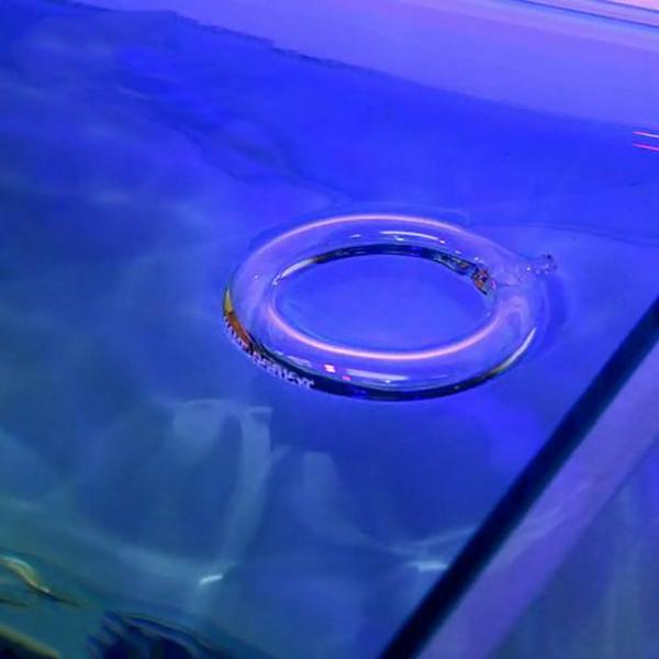 マメデザイン　マメフロートＭ（ｍａｍｅ　ｆｌｏａｔ　Ｍ）　海水魚　エサ　餌