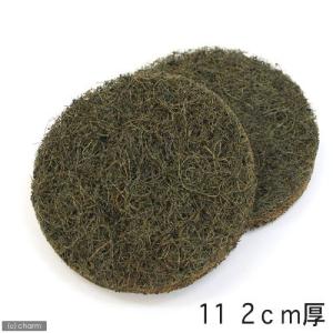 ノーブランド ヤシガラマット 11 2cm厚 2枚の商品画像