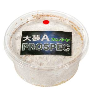 菌糸カップ 大夢A プロスペック (カンタケ)...の詳細画像1