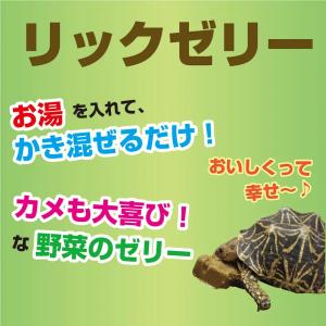 キョーリン リクガメフード リックゼリー 7g...の詳細画像2