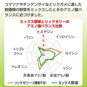 キョーリン リクガメフード リックゼリー 7g...の詳細画像3
