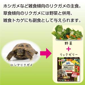 キョーリン リクガメフード リックゼリー 7g...の詳細画像4