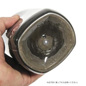 ジクラ アギト タルタルーガ 1000mL 爬...の詳細画像2