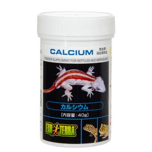 ＧＥＸ　エキゾテラ　カルシウム　４０ｇ　爬虫類　サプリメント　添加剤　ジェックス｜チャーム charm PayPayモール店