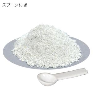 GEX エキゾテラ カルシウム 40g 爬虫類...の詳細画像2