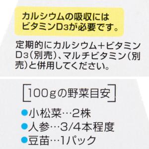 GEX エキゾテラ カルシウム 40g 爬虫類...の詳細画像5