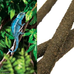 GEX エキゾテラ ジャングルヴァイン Lサイ...の詳細画像1