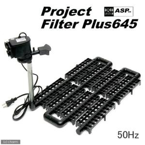 アクアシステム プロジェクトフィルター プラス 60Hz（西日本用