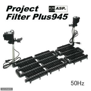 RF-90V + P-315V 上部フィルターポンプセット レイシー【メーカー直送