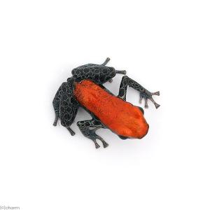 (両生類)レティキュラータヤドクガエル スタン...の詳細画像1