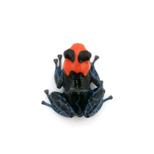 (両生類)ベネディクタヤドクガエル スタンダー...の詳細画像1