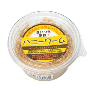 (生餌)死着保証なし ハニーワーム 繭あり 約...の詳細画像2