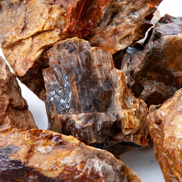 形状お任せ　木化石　サイズミックス　３ｋｇ　３０ｃｍ水槽向け　アクアリウム　レイアウト素材