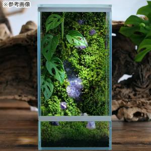 形状お任せ 黒曜石(オブシディアン) 100g...の詳細画像4