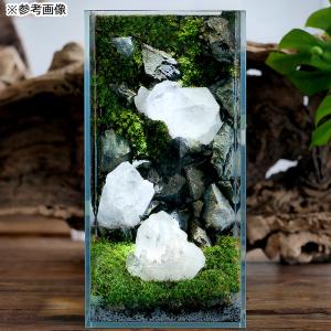 形状お任せ 黒曜石(オブシディアン) 100g...の詳細画像5