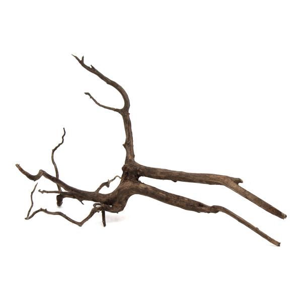 形状お任せ　煮込み済み　スパークウッド　Ｌサイズ（約３０〜４０ｃｍ）　１本　レイアウト素材　枝状流木