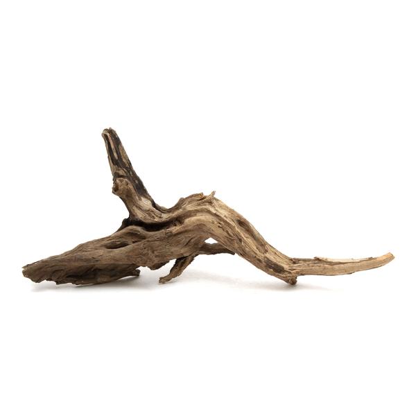 形状お任せ　煮込み済み　ディアーホーンウッド　Ｌサイズ（約３５〜４５ｃｍ）　１本　レイアウト素材　塊...