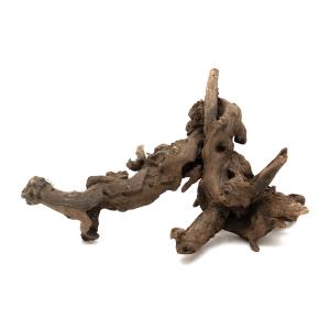 おさかなさん。 おさかな飼育セット S | 水中生物用品・水槽用品 通販