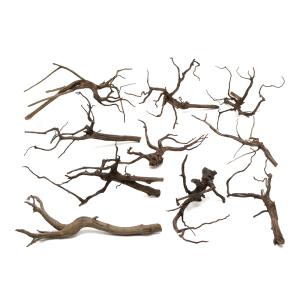 チャーム（charm） 形状お任せ 煮込み済み ハニカムウッド Lサイズ