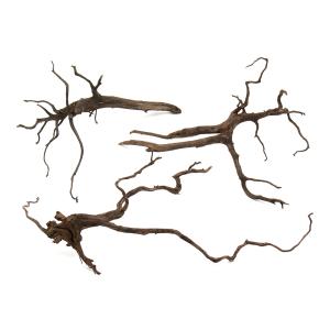 GEX（ジェックス） 天然流木 ミニサイズ（約10〜25cm） 1本