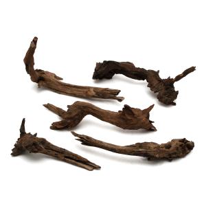 チャーム（charm） 形状お任せ 煮込み済み ハニカムウッド Lサイズ