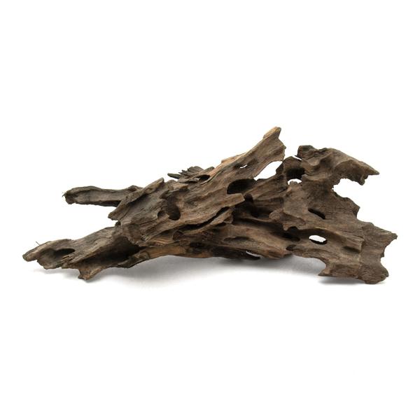 形状お任せ　煮込み済み　ハニカムウッド　Ｍサイズ（２０〜２５ｃｍ）　１本