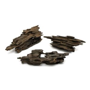 チャーム（charm） 形状お任せ 煮込み済み ハニカムウッド Lサイズ