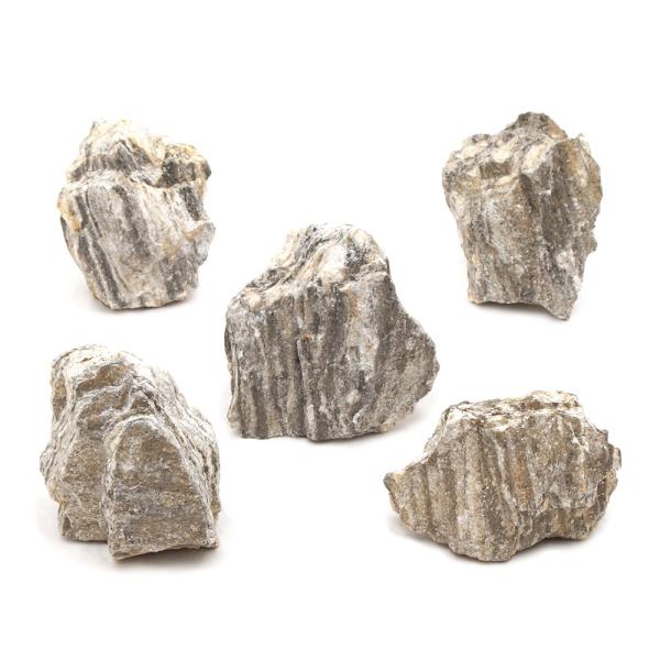形状お任せ　輝隆石　ＳＳサイズ（約５〜８ｃｍ）　５個　アクアリウム　レイアウト素材