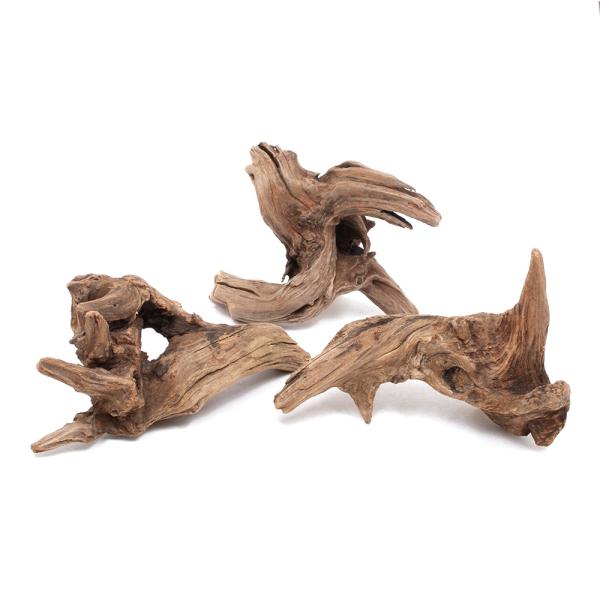 形状お任せ　煮込み済み　スクイーズウッド　３本　アクアリウム　レイアウト素材　流木