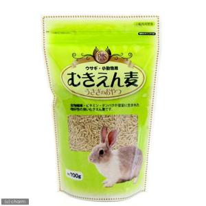うさぎ ペレット チモシー 極（PRO SELECT） まとめ買い 6袋 ハイペット チモシーのきわみ