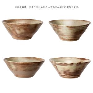 (ビオトープ)益子焼彩古信楽メダカ鉢隠れ家付ビ...の詳細画像4