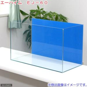 バックスクリーン貼付済　エーハイム　ＥＪ−６０　水槽　アクアブルー（６０×３０×３６ｃｍ）（単体）お一人様１点限り