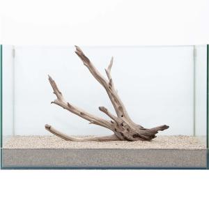 流木 石 チャーム Charm Paypayモール店 通販 Paypayモール