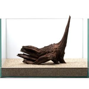 一点物 ドリフトウッド 45cm水槽用 852684